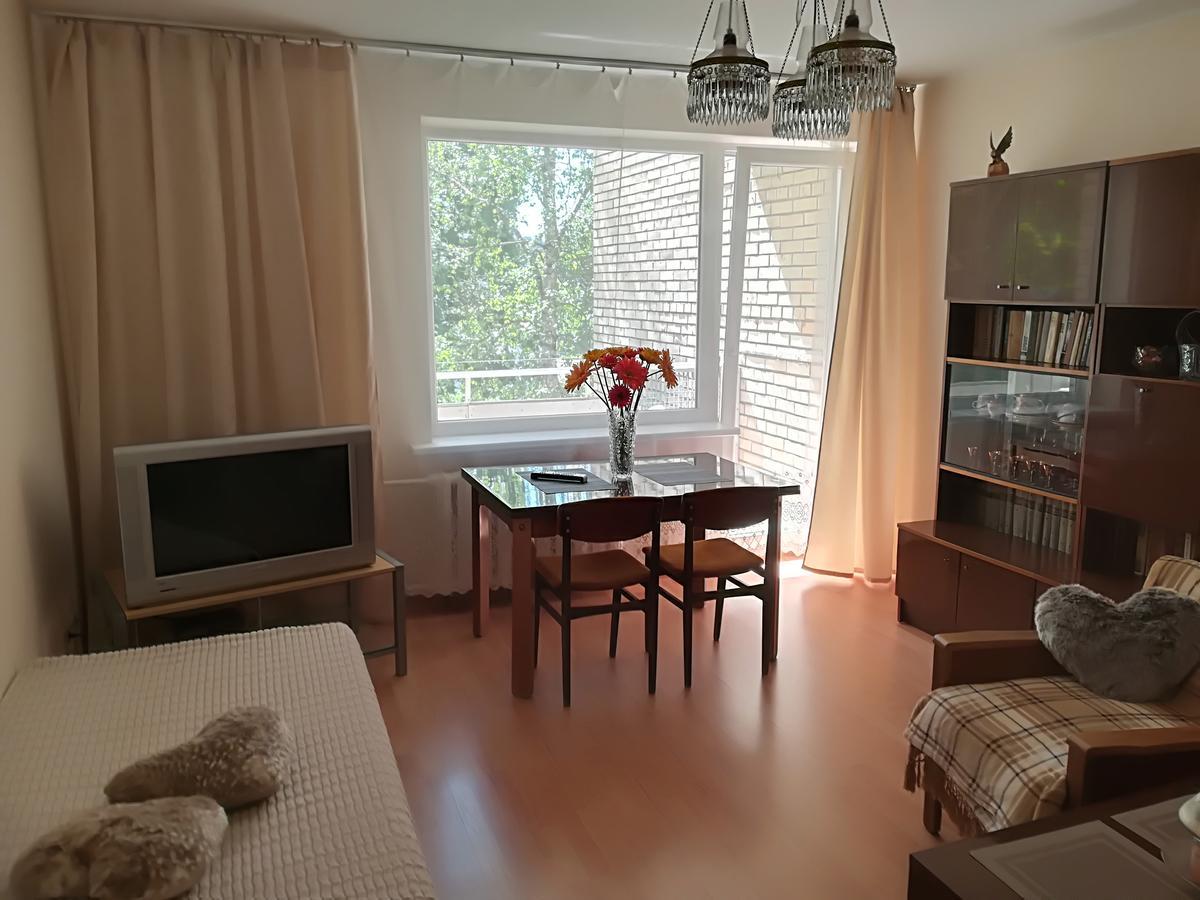 Amber Apartamentai 드루스키닝카이 외부 사진
